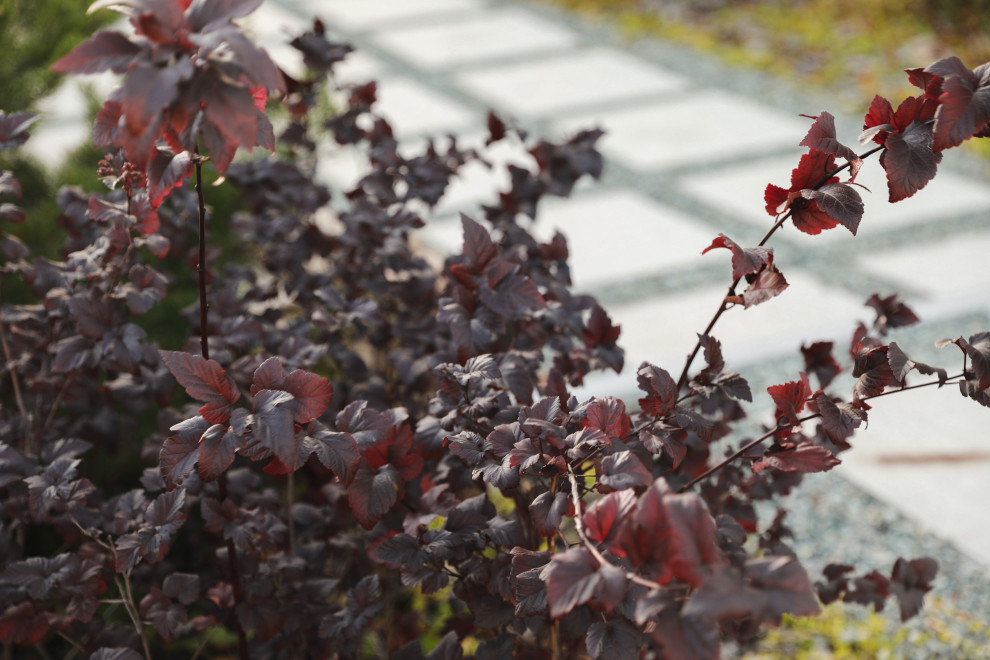 Оформление территории у офисного здания