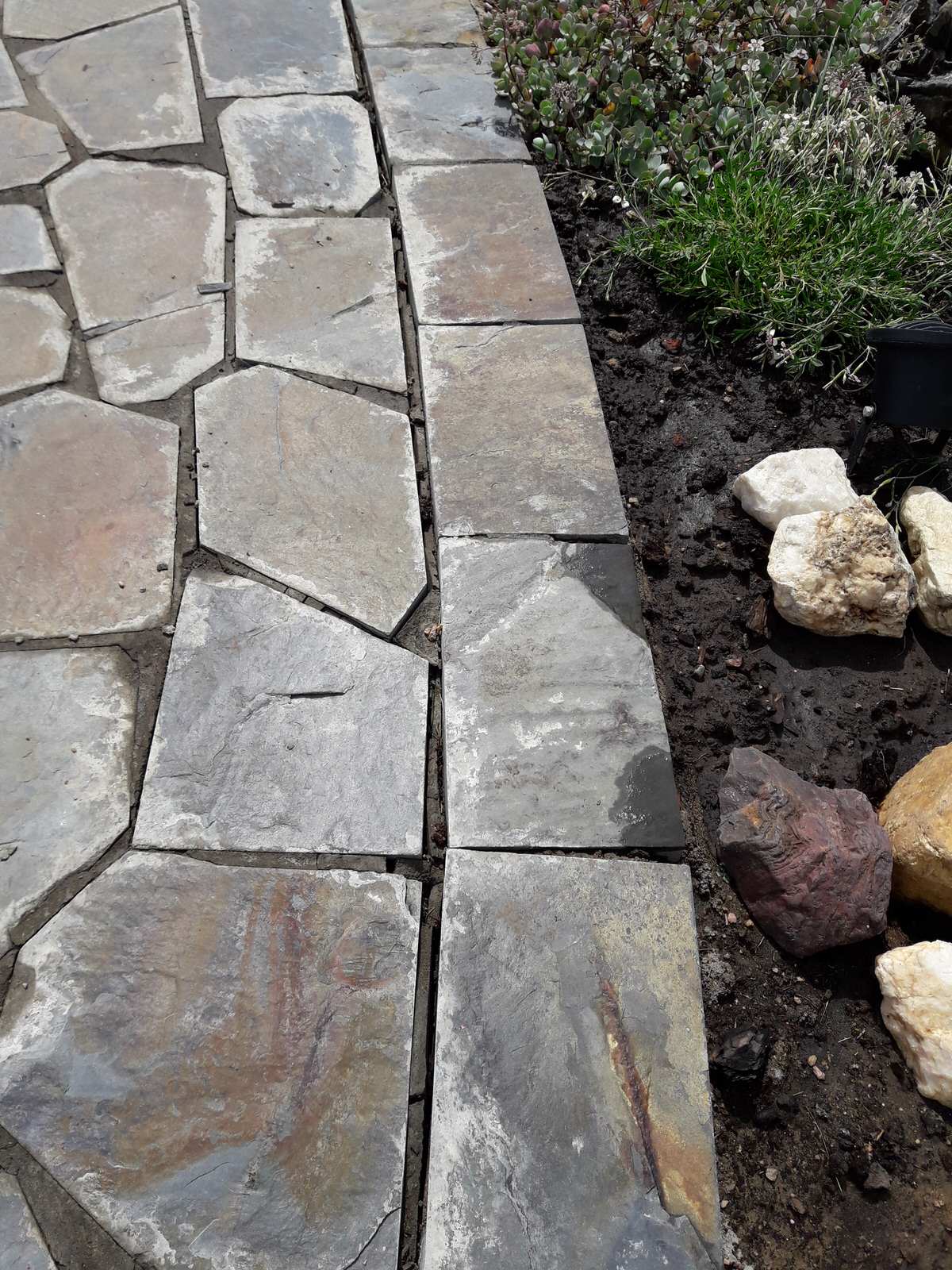 Посев газона, посадка саженцев. посадка многолетних цветов, укладка дорожки, авт