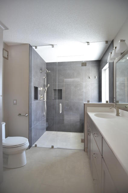 Gray Masterbath transitional-bathroom