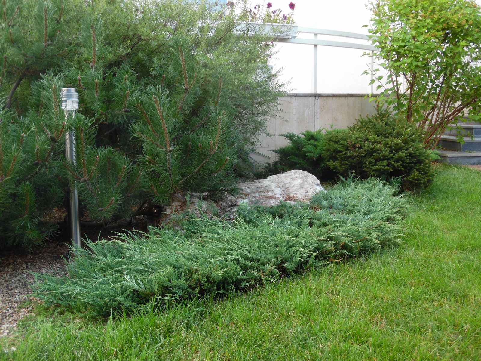 Маленький камерный сад.