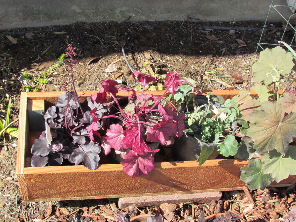 big outdoor planter pots Montrose Large Planter