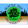 Seattle Tree Preservation