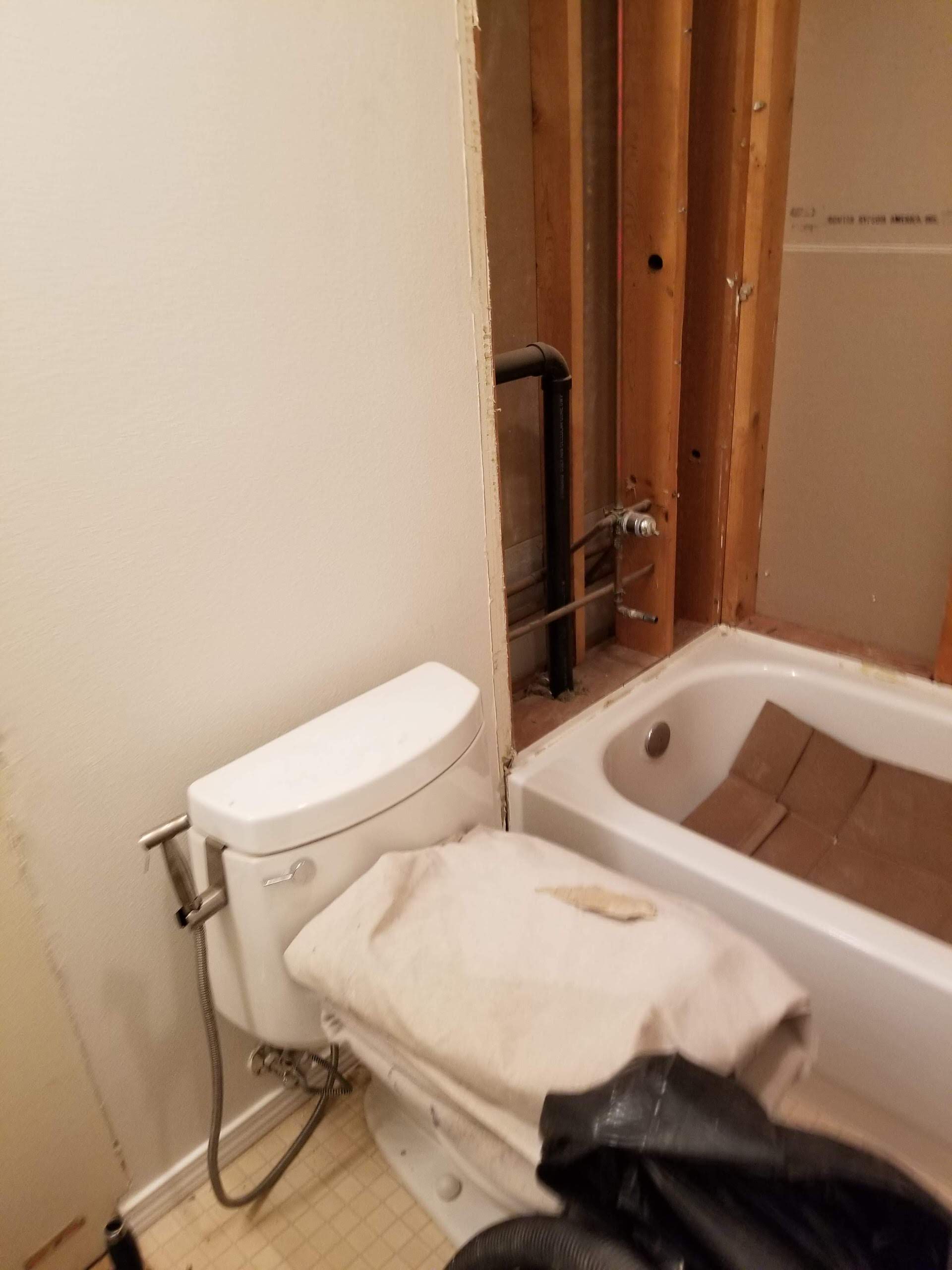 Sammamish Bathroom Remodel