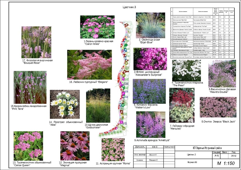 Проектирование сада КП Заречный