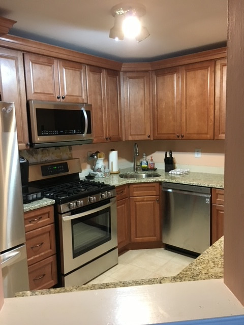 Recent Kitchen Remodels