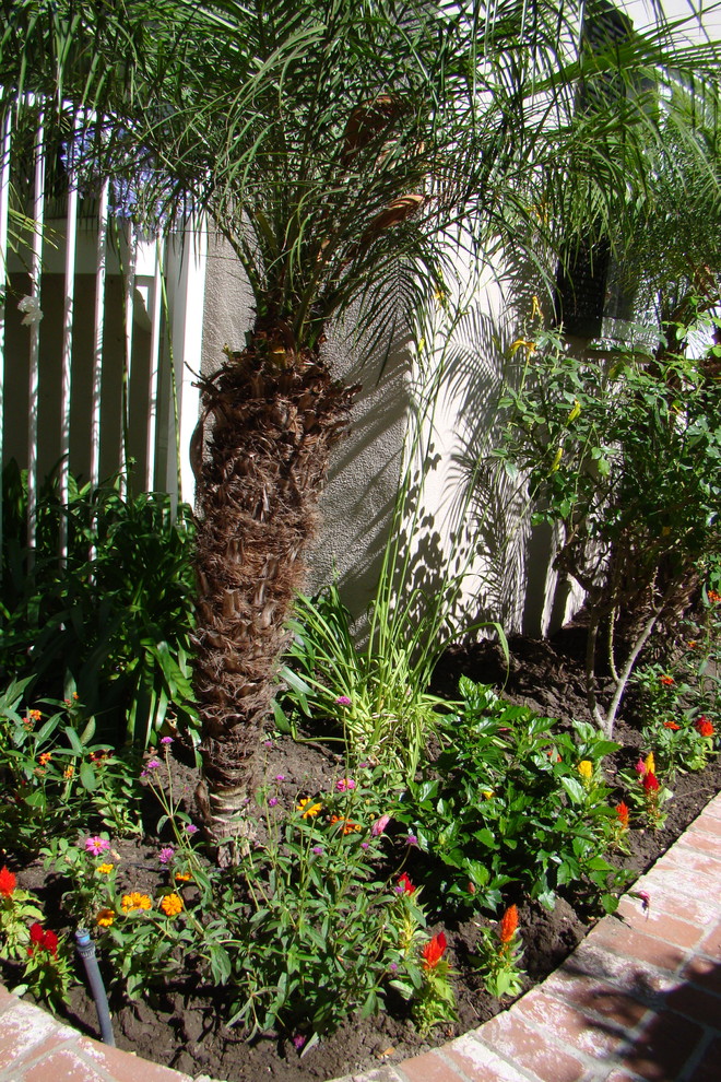 This is an example of a tropical landscaping in Los Angeles.