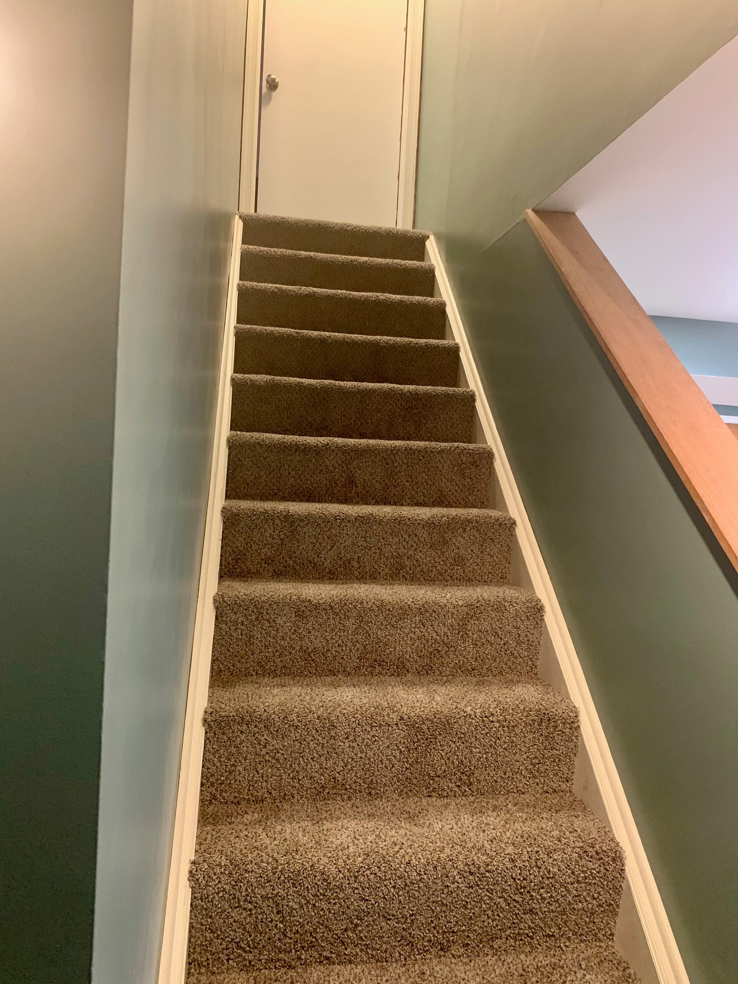 Carpet