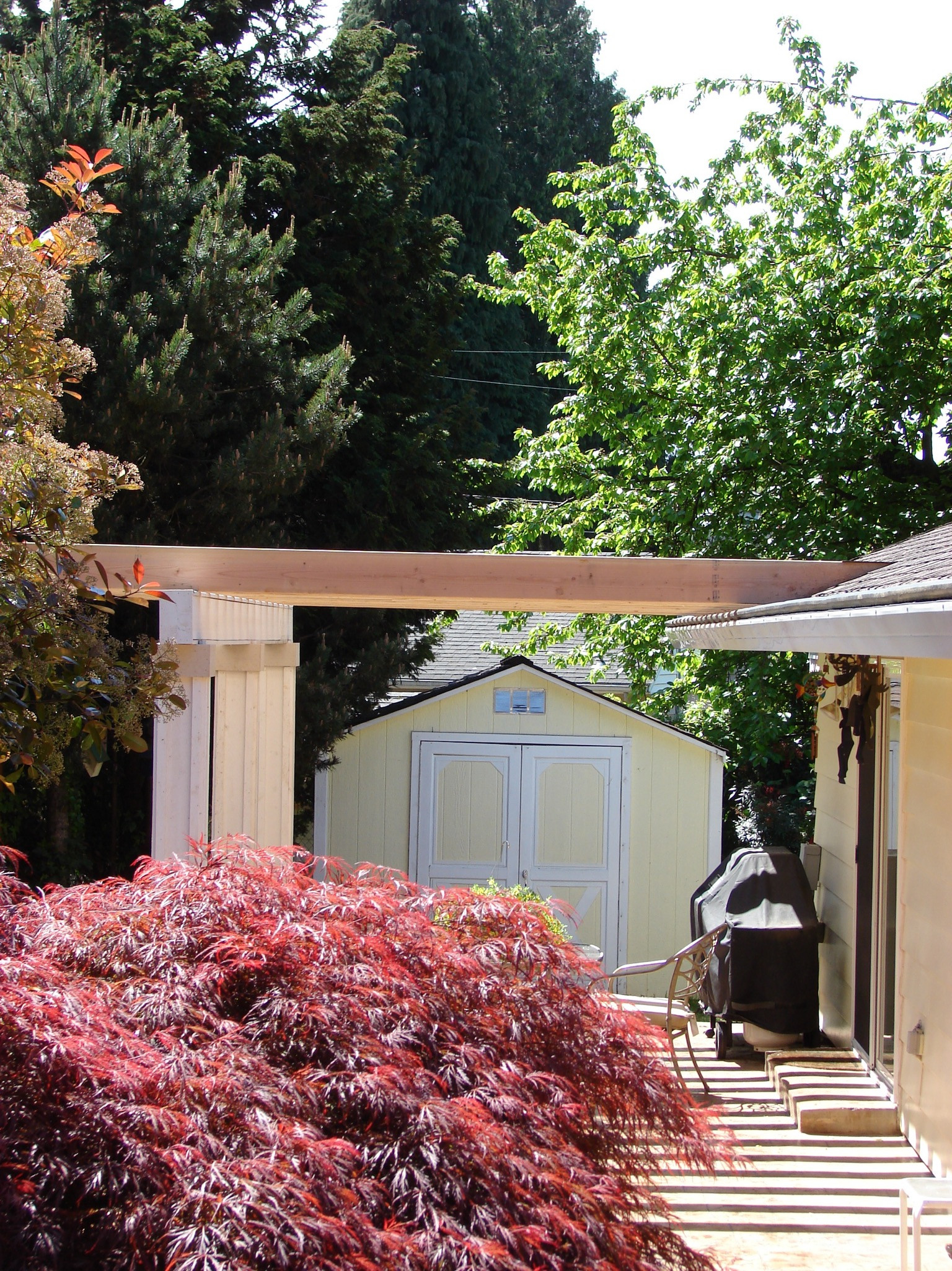 Trellis/Gazebo