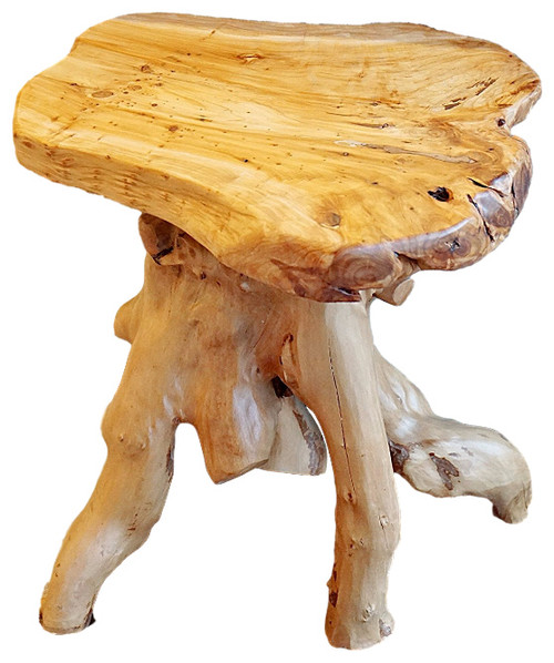Root Wooden End Table