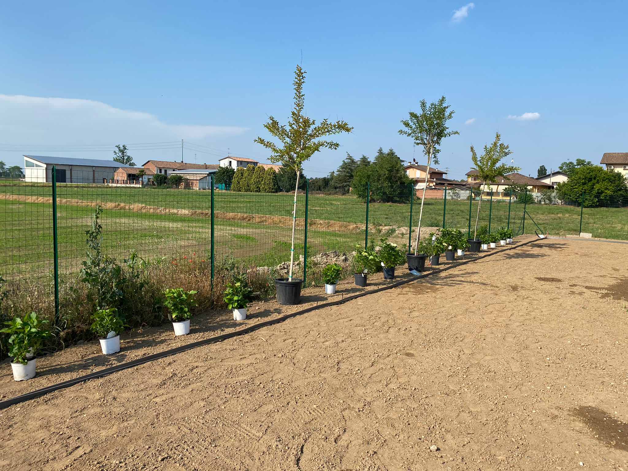 Realizzazione Giardino per villa moderna