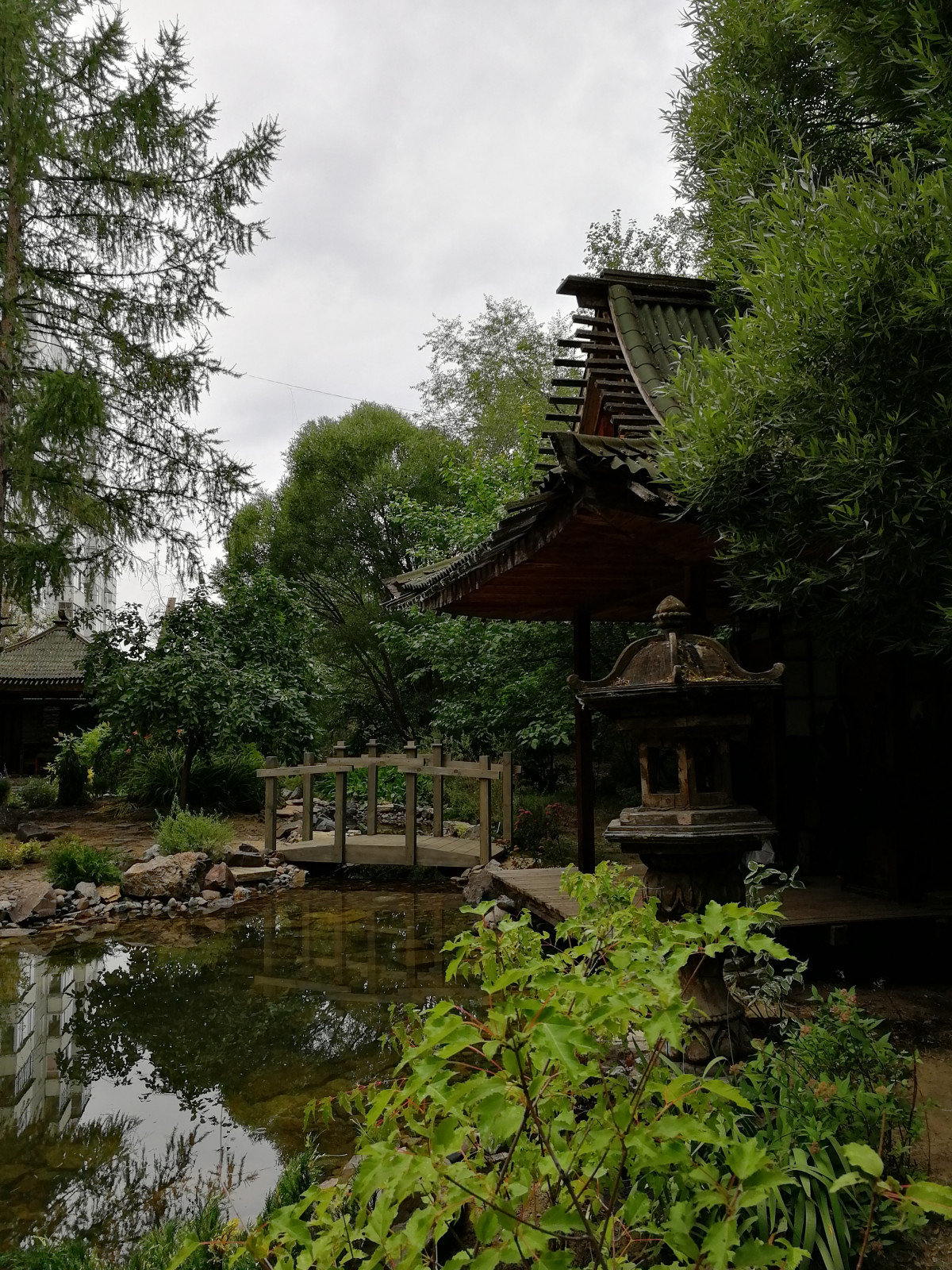 Сад в японском стиле