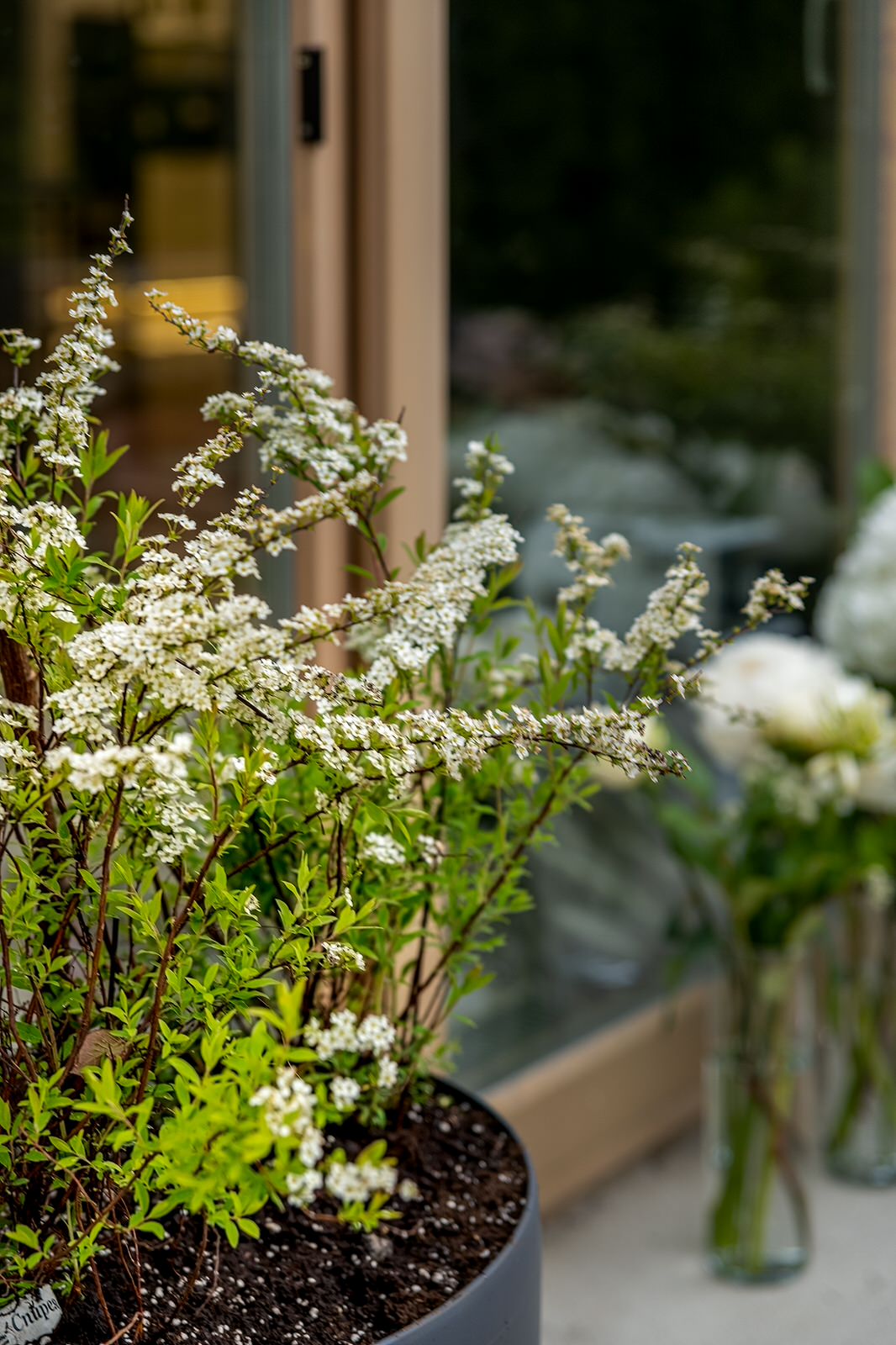 "На Дачу" к Татьяне Веденеевой