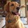 julie_wilson2701751