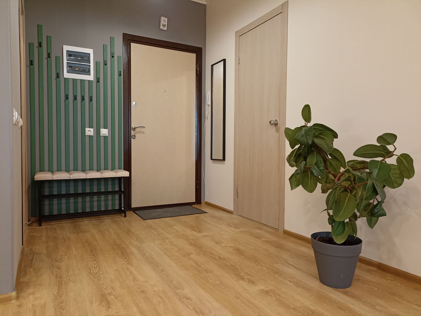 Зелёная линия