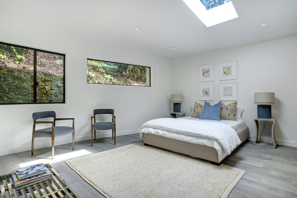 Large modern guest bedroom in Los Angeles with white walls, light hardwood floors, no fireplace and grey floor.