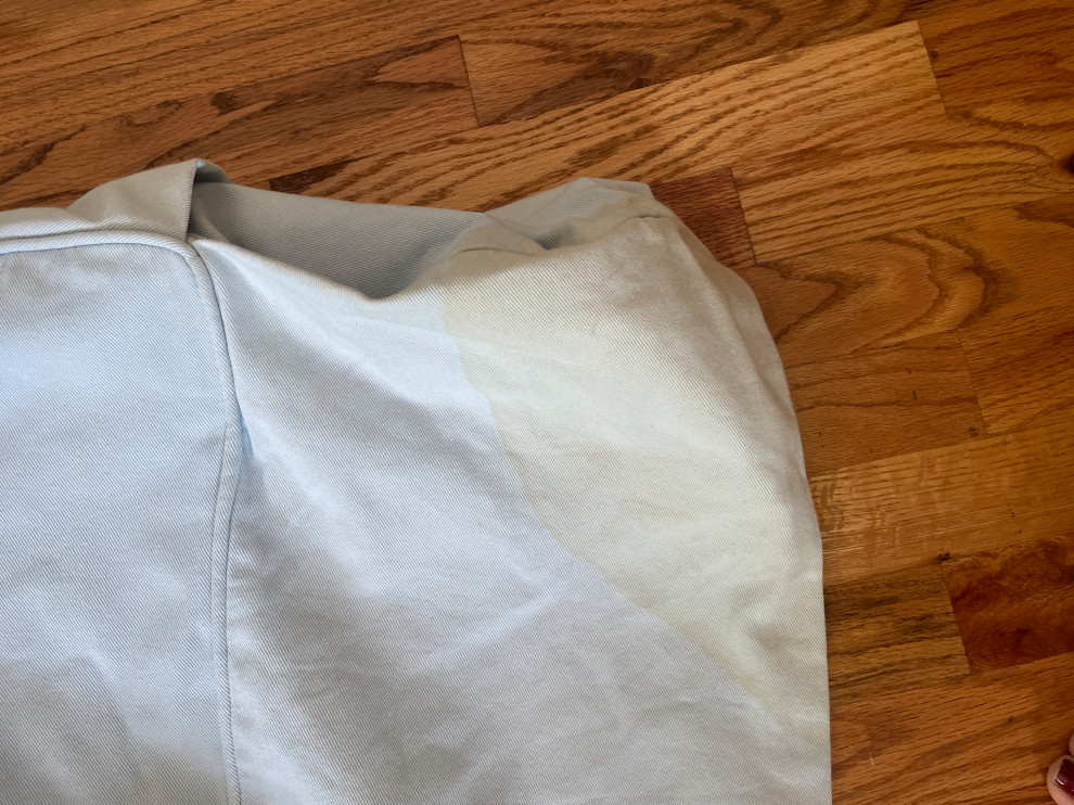 Does Rit Dye Remover take out cat urine stains out of fabric?