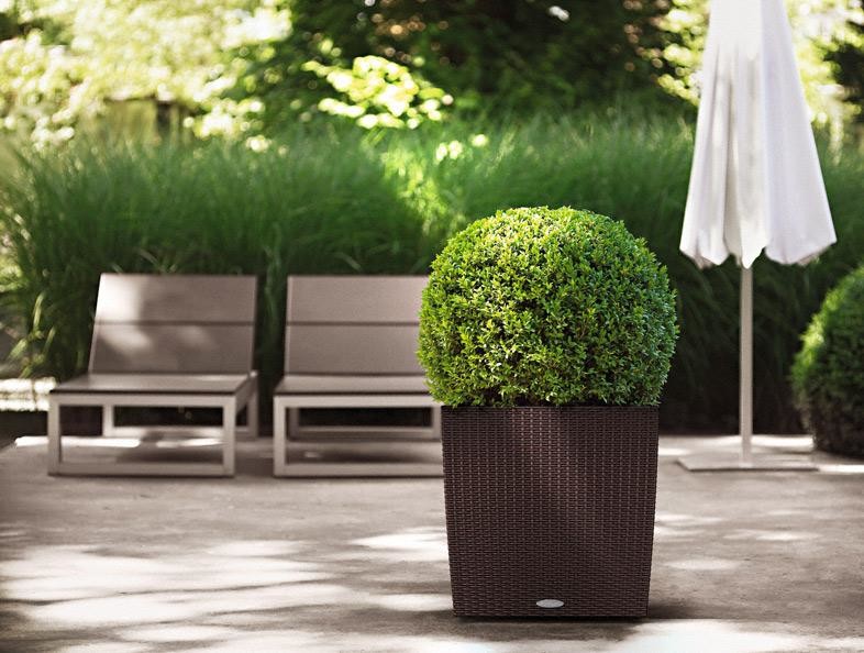 Загородный шарм