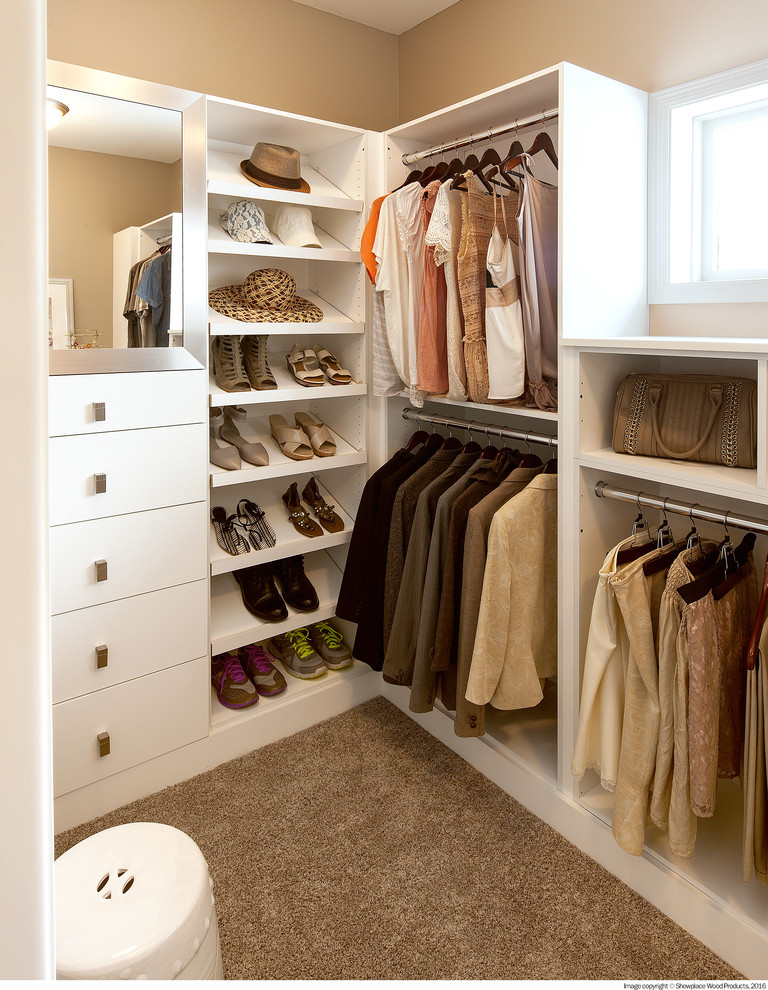 This is an example of a gender-neutral walk-in wardrobe in Other with white cabinets and carpet.