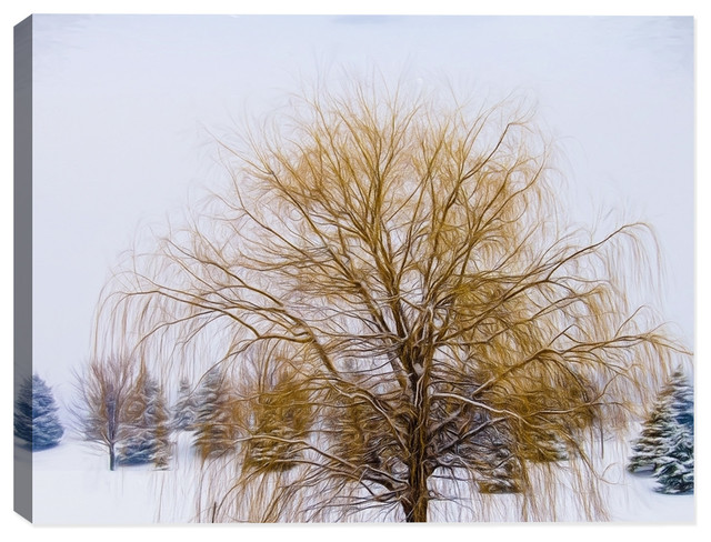 Weeping Willow In Winter Canvas Art Print 30 X24 Fine Weeping Willow In Winter Canvas Art Print 30 X24 Fine