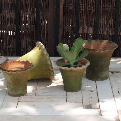 Moss Piecrust Pot in Terracotta Pots