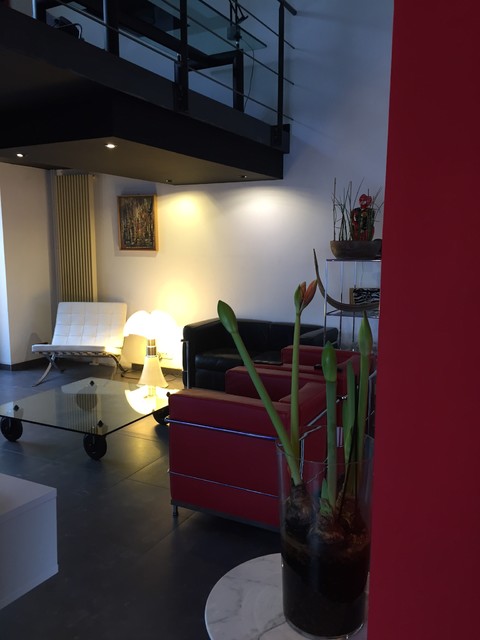 Maison Loft contemporary-vardagsrum