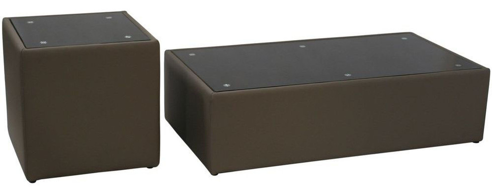 Steel Bonded Leather Cocktail & End Table 2PC Set with Glass Top