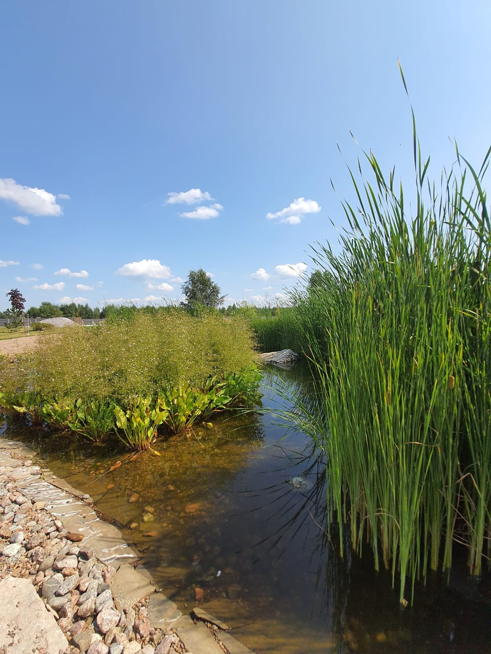 Декоративный водоём в п. Репино (Лен. обл.)