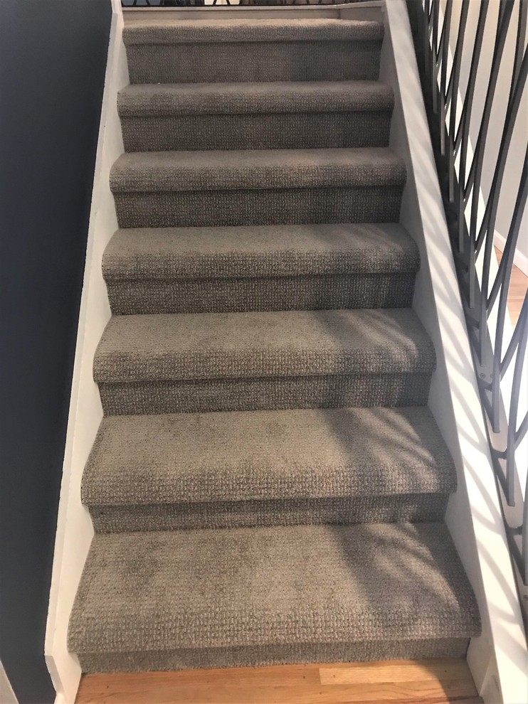 Mid-sized transitional carpeted u-shaped metal railing staircase photo in Seattle with carpeted risers