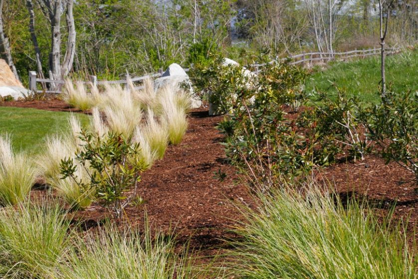 LANDSCAPE DESIGN & INSTALLATION