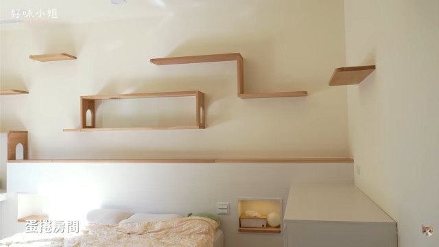 catify 