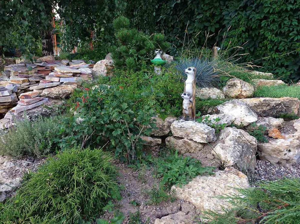 Деревня Алексино Истринского района