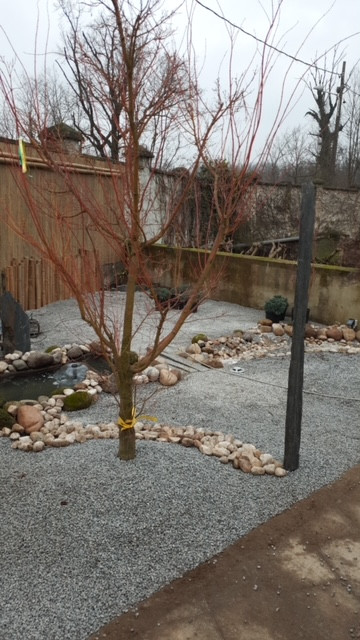 Giardino zen