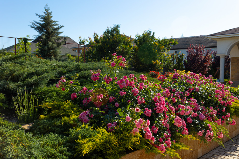 Сад: "Крымский бриз"