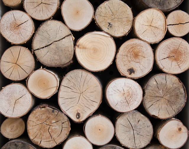 Barn Lounge with Log Stack trendy-dagligstue
