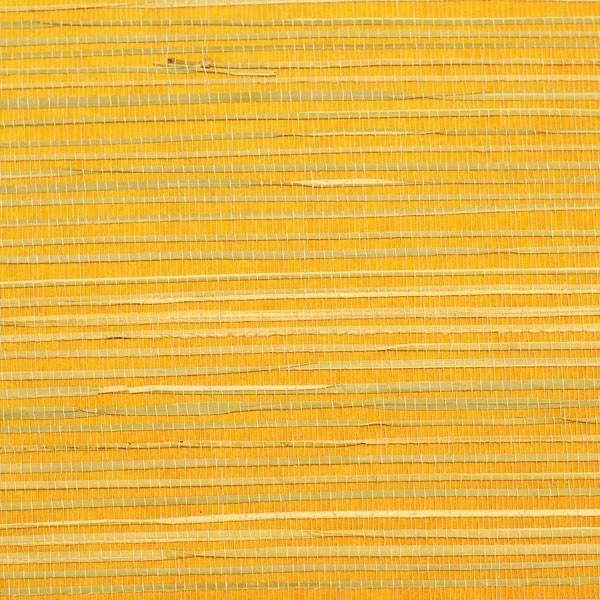 Rush Regular Orange Grass Cloth Wallpaper, Sample - Beach Style