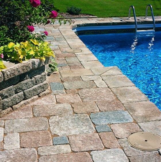 Inspiration for a transitional pool in Tampa.