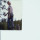 Last commented by marc james