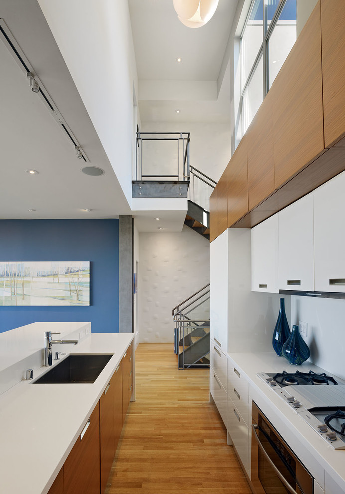Design ideas for a modern kitchen in San Francisco with flat-panel cabinets.