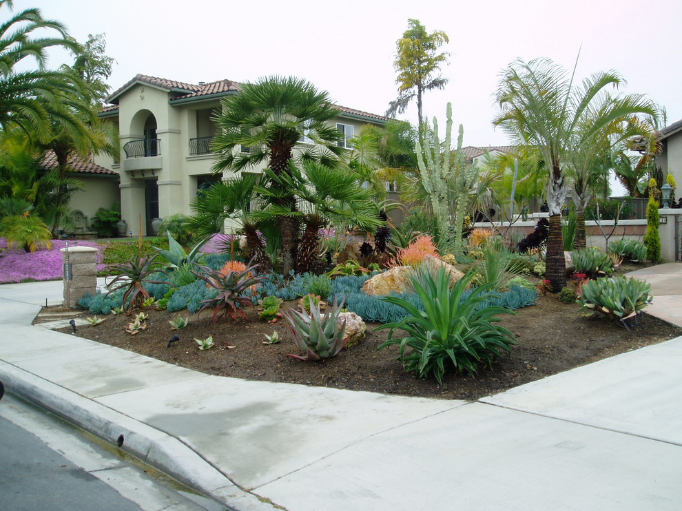 Design ideas for a mediterranean garden in San Diego.