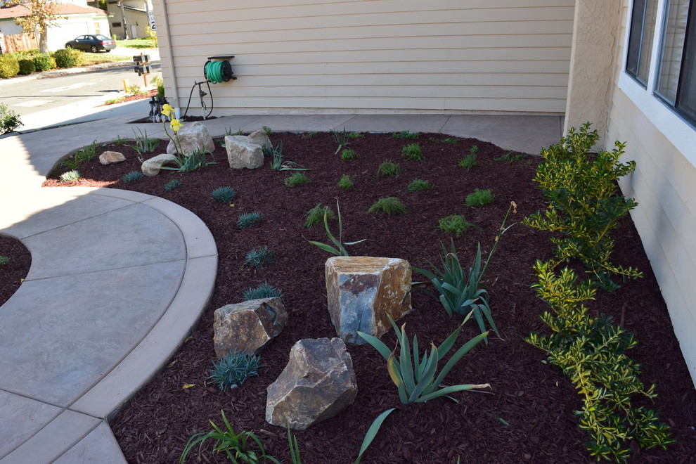 Mid-sized eclectic xeriscape in San Diego.