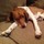 elizabeth_shelton
