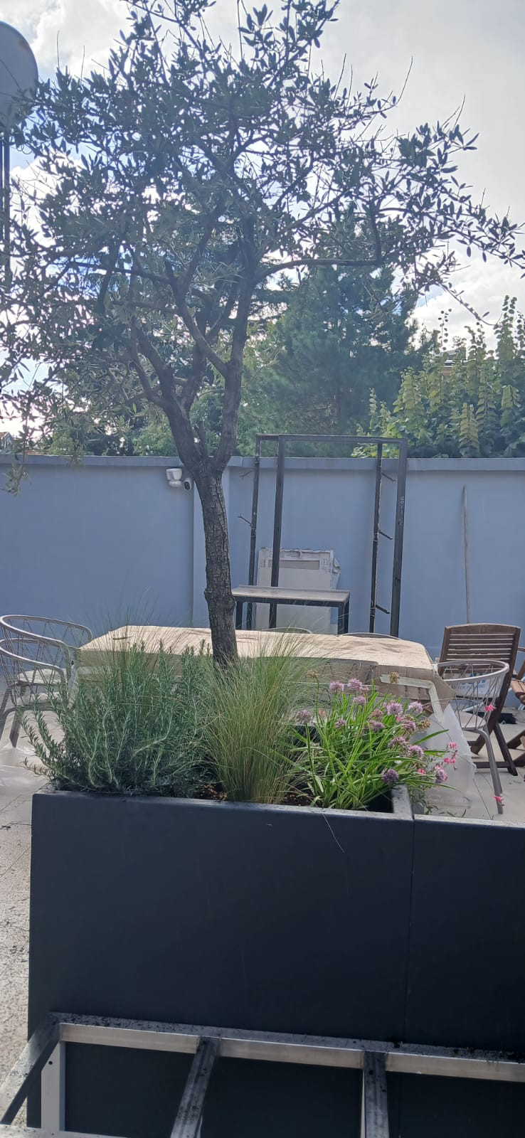 Realizzazione Terrazza dai sapori mediterranei