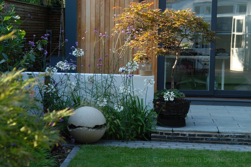 Medium sized contemporary back garden in London.