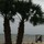 webuser_212505