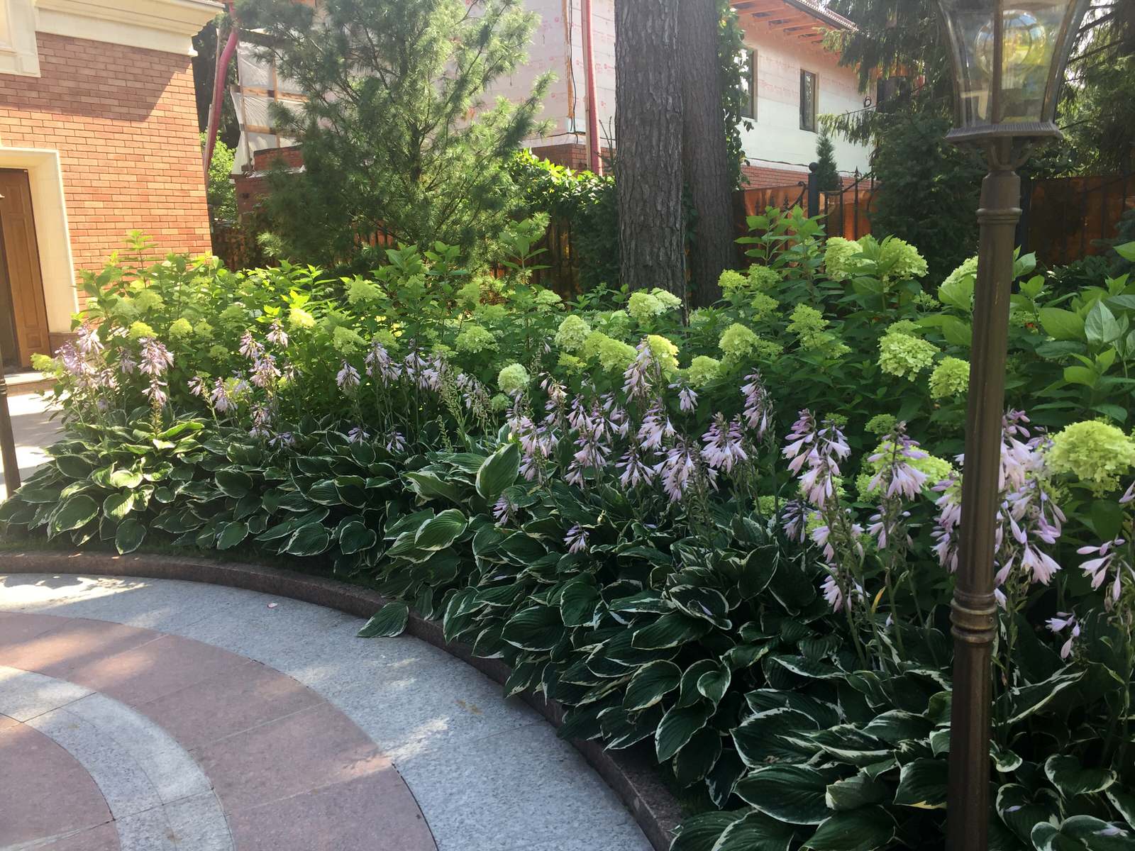 Сосновый Бор 2017.