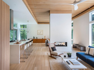 Wooden ceiling 2024 living room