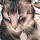 cynthia_marcotte