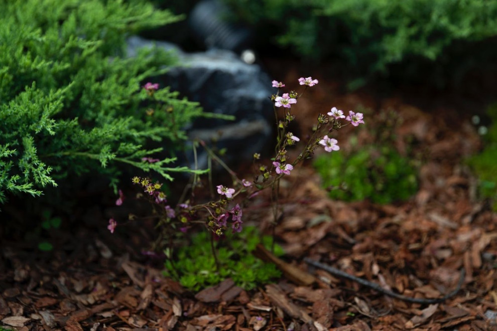 Элемент времени