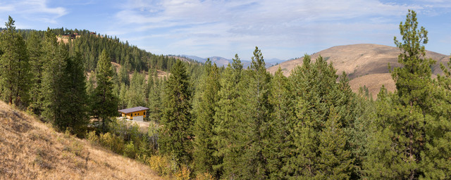 Pine Forest modern-fasad