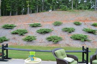 Small Backyard, Big Hill, Need Help